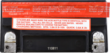 AGM Maintenance-Free Battery