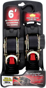 Retractable Ratcheting Tie-Downs
