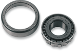 Wheel Bearing with Race