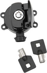 Side Hinge Ignition Switch