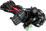Relay Harness