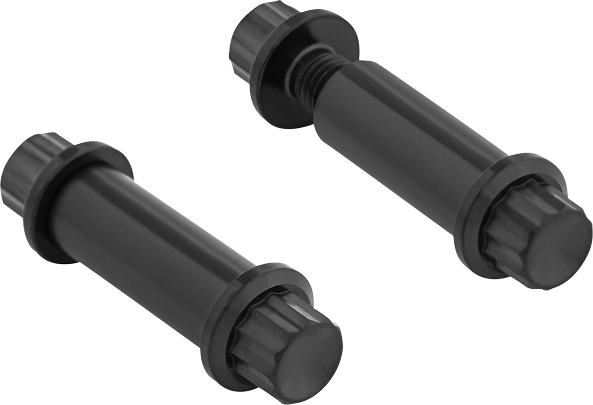 Foot Peg Titanium 12-Point Bolt Kit