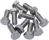 Replacement Hex-Head Bolts