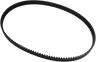 Rear Drive Belt