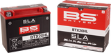 SLA Factory- Activated AGM Maintenance-Free Battery