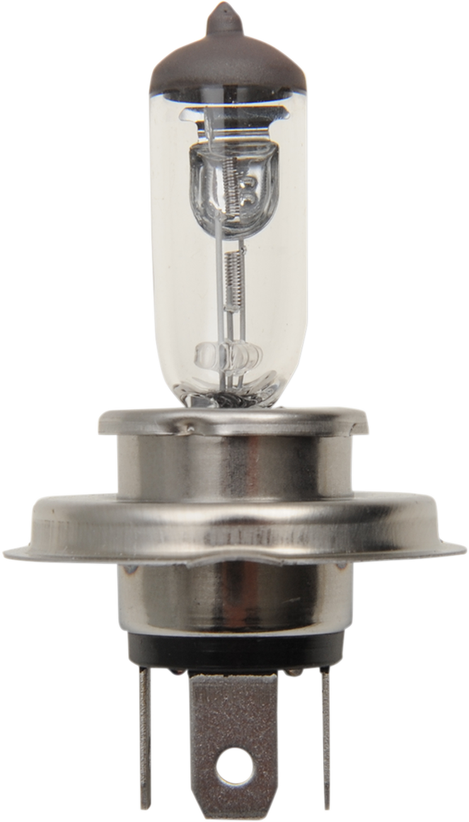 Halogen Bulb