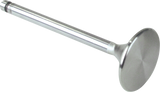 Replacement Stainless Steel Valves for S&S Heads
