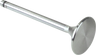 Replacement Stainless Steel Valves for S&S Heads