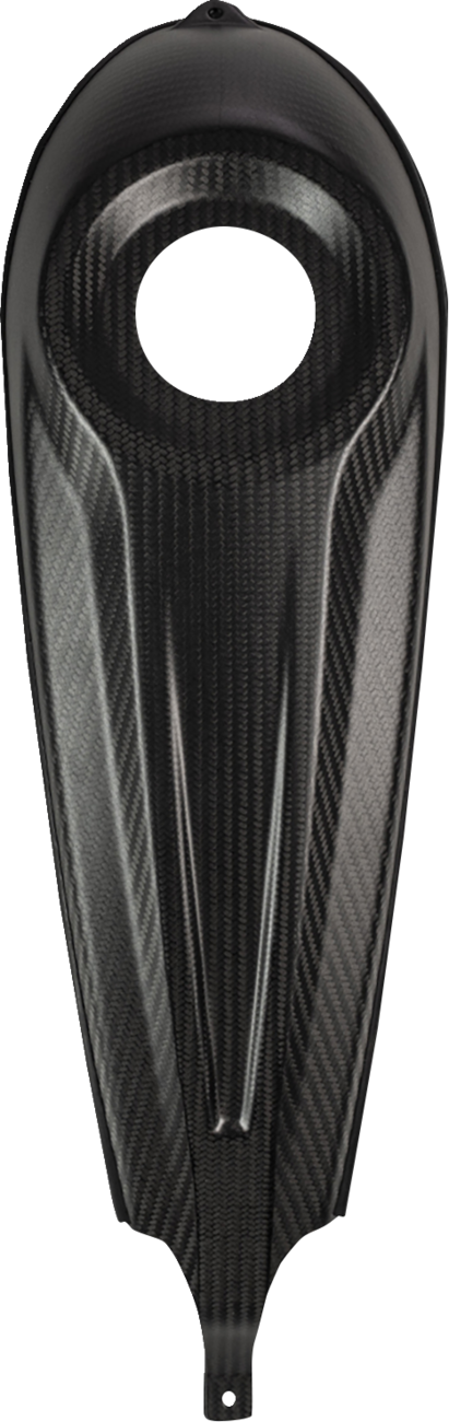 Carbon Fiber Dash Panel For Touring Models