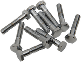 Replacement Hex-Head Bolts