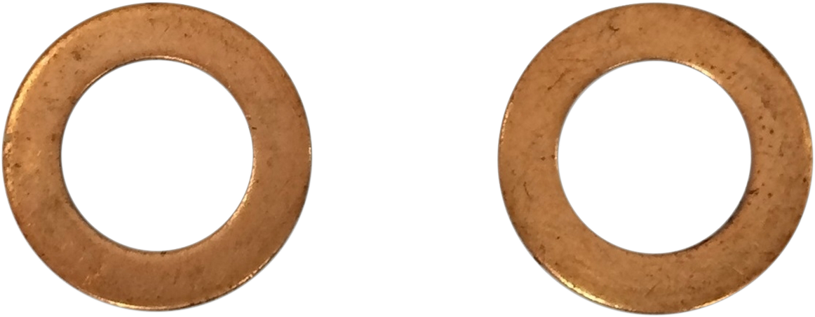 Fork Damper Tube Mount Washers