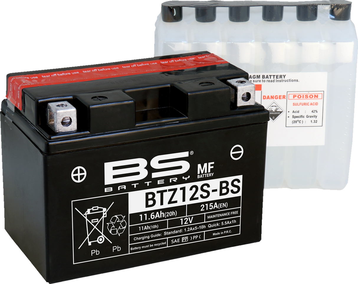 Maintenance-Free Battery