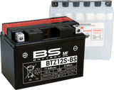 Maintenance-Free Battery