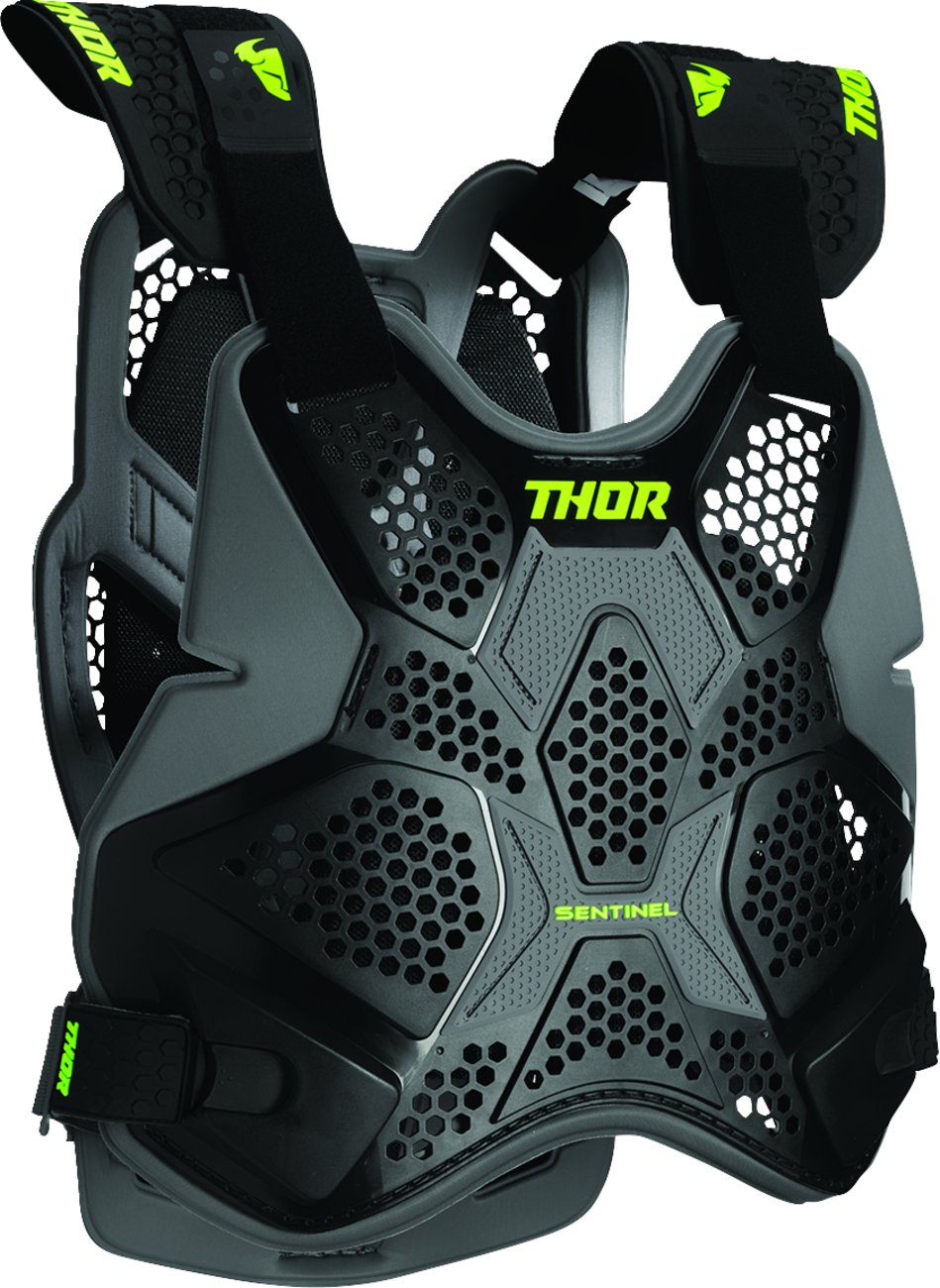 Sentinel Pro Guard