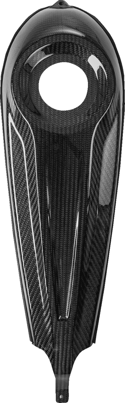 Carbon Fiber Dash Panel For Touring Models