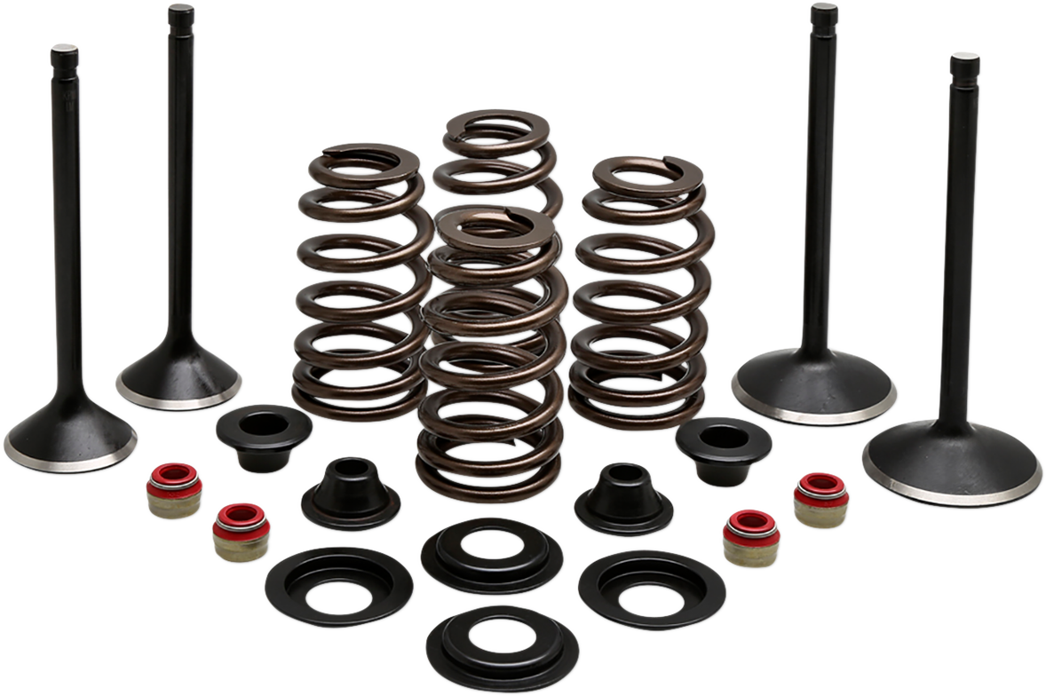 Engine Valve Kit