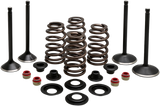 Engine Valve Kit