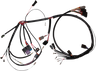 Complete Bike Wiring Harness