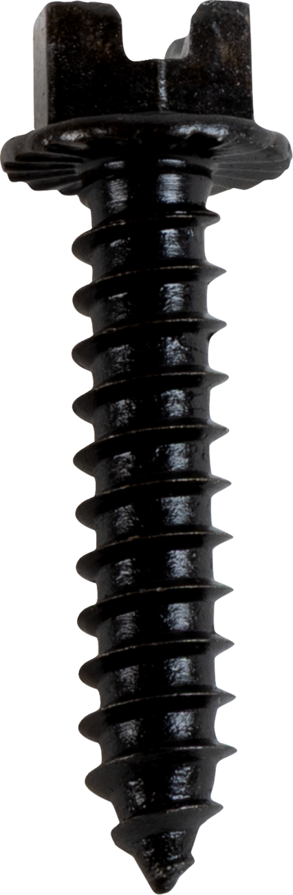 AMA Race Legal Traction Screws