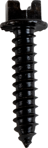 AMA Race Legal Traction Screws