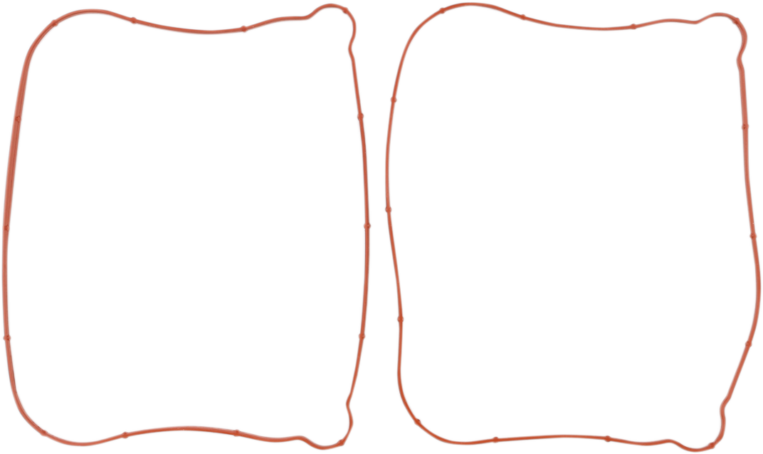 Rocker Gasket