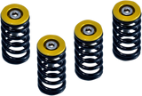 Clutch Spring Kit