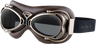 Flight Goggle