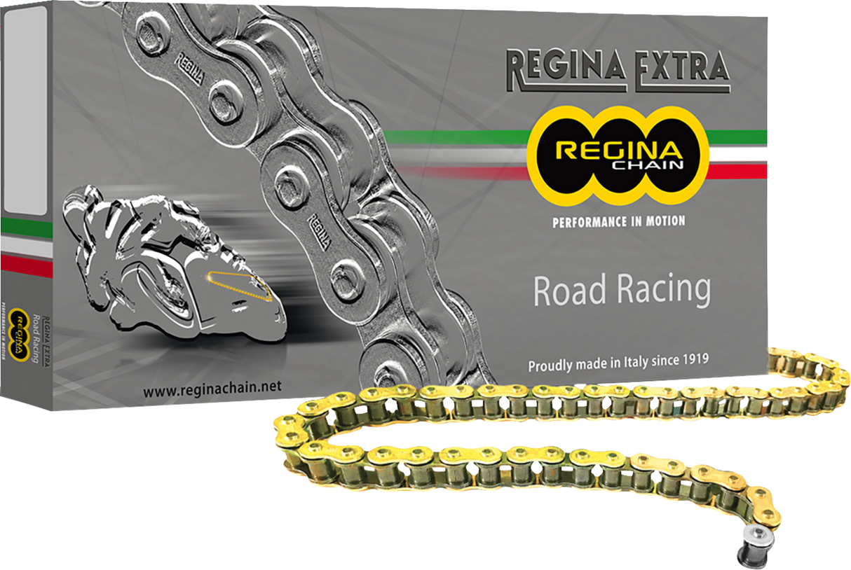 520 GPZ Series Chain