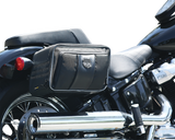 Road Trip Saddlebag