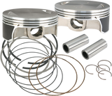 Piston Kit for Hot Set Up Kit®