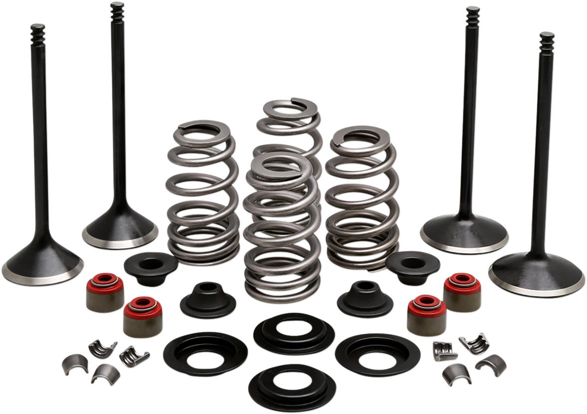 Engine Valve Kit