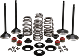 Engine Valve Kit
