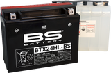 Maintenance-Free Battery