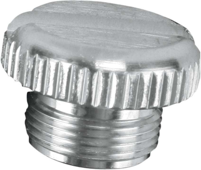 Transmission Plug
