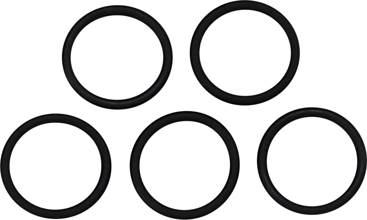 Thermostat O-Ring