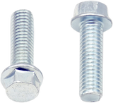 Replacement Bolts