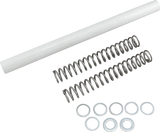 Fork Springs