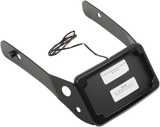 Curved License Mount with Frame