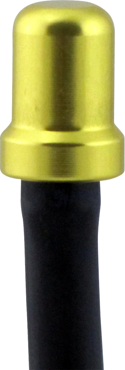 Vent Cap