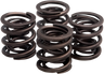 Valve Spring Kit