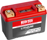 Lithium LiFePO4 Battery