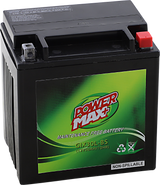 Maintenance-Free Battery