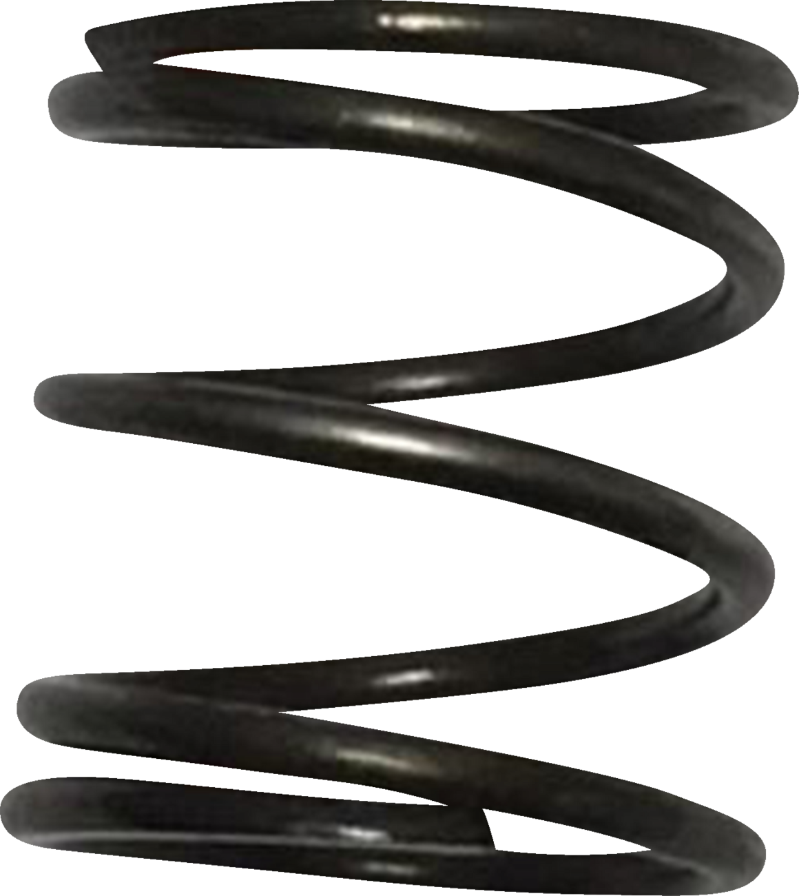 Pushrod Cover Spring