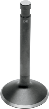 Nitrided Valve
