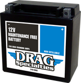 AGM Maintenance-Free Battery