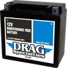 AGM Maintenance-Free Battery