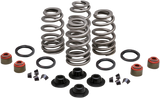 Beehive Valve™ Spring Kit