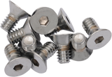 Countersunk Socket-Head Bolts