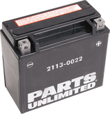 AGM Maintenance-Free Battery