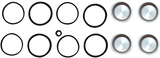 Caliper Seal Kit